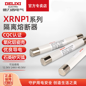德力西 保险丝 XRNP1-12 高分断能力高压限流熔断器 0.5-1A
