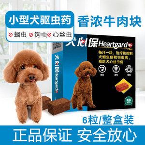 6颗/盒小型犬进口体内驱虫药牛肉味泰迪打虫药幼犬柯基心丝虫整盒