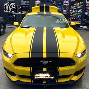 福特福克斯贴纸引擎盖