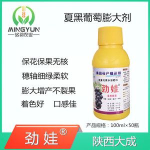 劲娃 夏黑专用劲娃 陕西大成 小旺哥 夏黑专用膨大剂 葡萄膨大剂