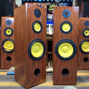 惠威落地音箱d10g