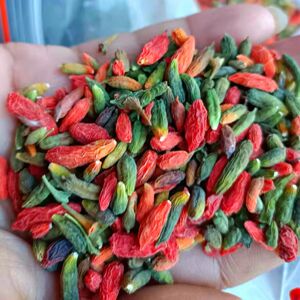 野生枸杞正宗长白山枸杞子500g特级小粒青枸杞干果现摘无硫5g