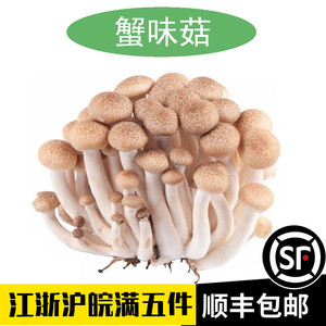 新鲜蟹味菇保鲜盒装125g非干货海鲜菇小蘑菇中西餐特色食用真姬菇
