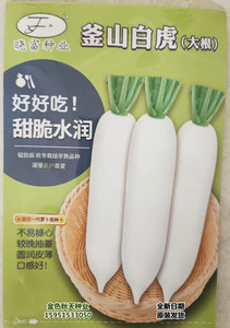 韩国进口釜山白虎白萝卜种子四季播耐抽薹耐热耐寒高产抗病萝卜籽
