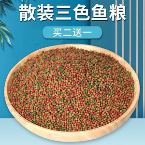 金鱼食小颗粒鱼缸