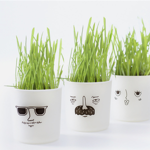 种草娃娃头上长青草表情漫画创意绿植儿童自种种盆栽