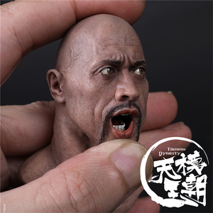 天模 coomodel sg001 1/6 全硅胶拟真头雕 巨石强森 可动眼男头雕