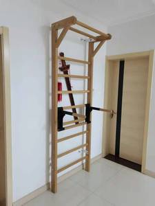 室内木质肋木架家用健身器材引体向上舞蹈房压腿架