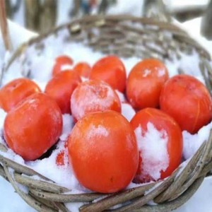 4斤2021年水晶小冻柿子东北冬季水果冷冻小柿子保温箱发货包邮