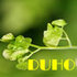 DUHO 北美营养保健品