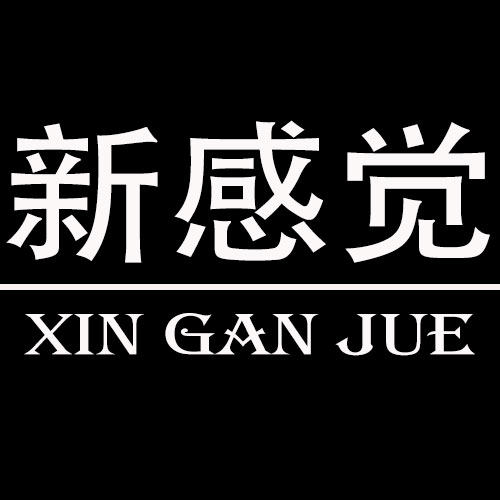 新感觉专业定制