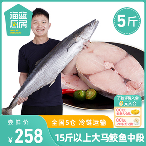 海蓝厨房 海南马鲛鱼中段整切5斤冷冻深海南海鲜大马交鱼片送礼