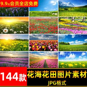高清自然风景JPG图片花海花田天空花草花丛花圃喷绘打印合成素材
