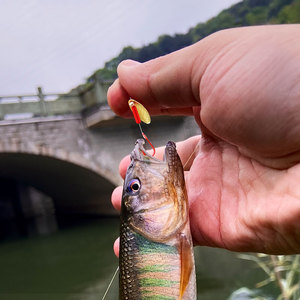 瓜子亮片套装绑好路亚假饵马口钓组淡水白条神器远投微物翘嘴专杀