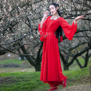 古典舞演出服女飘逸古装仙女清新淡雅凉凉舞蹈服装中国风汉服长裙