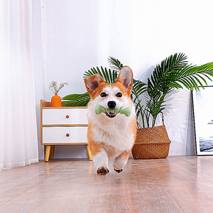 狗狗玩具训练磨牙耐咬洁齿逗狗棒柯基小型犬自嗨解闷神器宠物用品