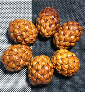 马达加斯加铁树子铁树籽文玩手串菩提子原籽手把件把玩一对包邮