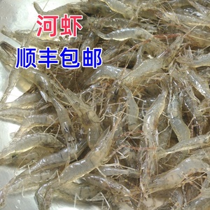 江苏淮安淡水河虾鲜活速冻新鲜草虾青虾食用炒菜油炸虾酱