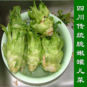 四川传统脆嫩罐儿菜苗籽  香嫩罐儿菜苗籽 四川绵阳罐罐青菜苗籽