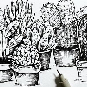 针管笔插画素材 黑白线描花卉植物图片 临摹学习参考资料c751