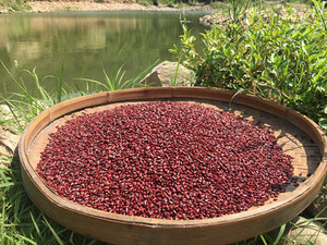 赤小豆农家自产赤豆非红小豆500克可搭配薏米祛湿 磨粉 五谷杂粮