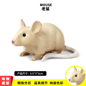 儿童动物玩具老鼠模型实心塑胶仿真小白鼠套装男孩认知礼物摆件