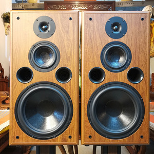 原装出口丹麦音箱发烧hifi书架高保真10寸三分频落地音响无源对箱