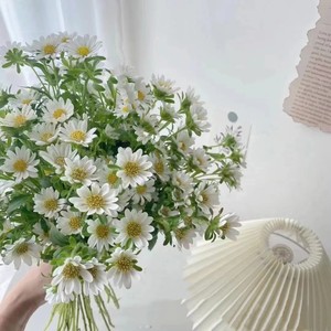 多头红色迷你菊小雏菊鲜花束广州同城速递家庭办公室基地直发包邮