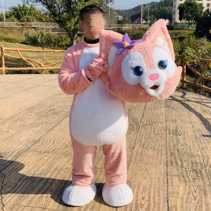 0026人付款淘宝熊出没光头强卡通人偶服装熊大熊二人穿行走公仔头套