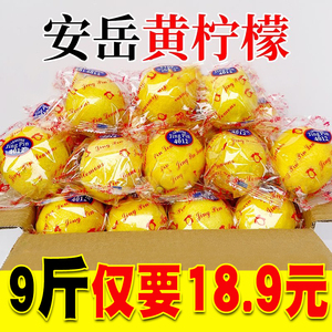 四川安岳黄柠檬10斤新鲜水果奶茶店专用皮薄一级香水甜柠檬无籽青