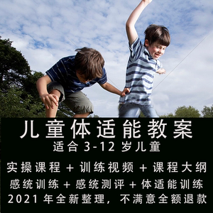 在家感统训练课程 儿童触觉按摩失调语言专注力教案书籍视频教程