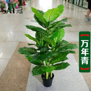 假树仿真植物绿植盆栽现代家居室内装饰假花孔雀叶5杆万年青盆景