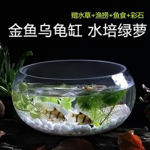 乌龟玻璃好看鱼缸小型防割手加厚钢化时尚大号圆形卧室鱼缸养鱼缸