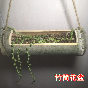复古色竹筒花盆花器垂吊花盆新鲜竹子花盆种植花卉绿植多肉竹制