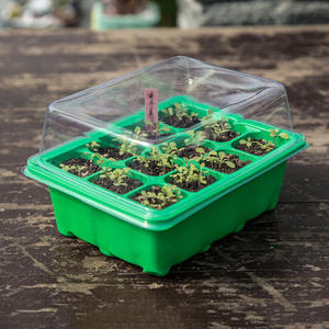 12孔育苗种植穴盘专用盆营养杯塑料钵育苗盒托盘土壤基质种植盒箱