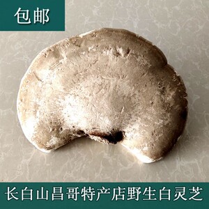 001人付款淘宝长白山野生白灵芝 500克包邮玉林芝桦剥