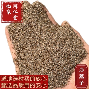 同仁堂中药材内蒙古野生沙蒿籽黑沙蒿子特级蒿籽干净无沙子包邮