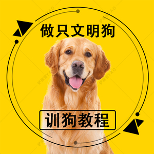 淘宝
