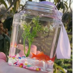 斗鱼罐鱼缸 生态瓶子 高透塑料 透明方形500ml 7.7*7.7*11cm