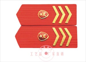 服饰纠察肩章编号胸标新款保安全套肩牌胸章胸牌臂章军人纪念勋章