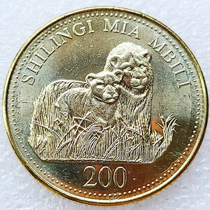 2008年 坦桑尼亚 200先令野生动物多边形黄铜色硬币 狮子母子27mm
