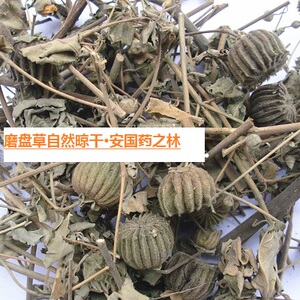 磨盘草12元中药材耳响草 石磨仔 磨仔草 磨档草 磨盆草2斤免邮