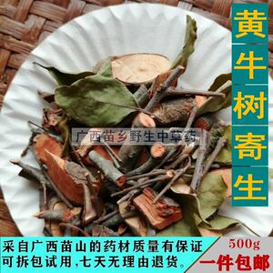 苗山野生黄牛茶寄生 雀笼木寄生 黄芽树寄生 黄牛木寄生 干品500g