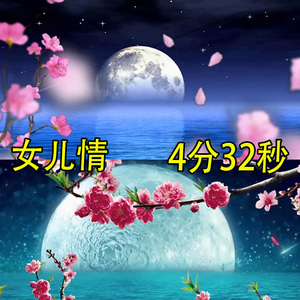 歌曲女儿情花瓣飘落抒情柔美月色晚会舞蹈演出led背景视频素材2人付款