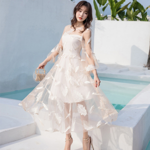 少女网纱刺绣超薄连衣裙女长款春夏2019新款大码仙气透明蕾丝长裙