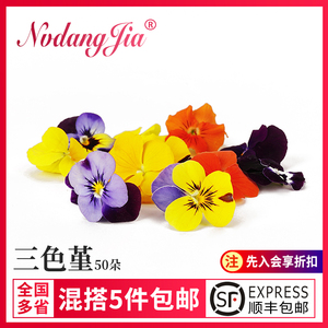 新鲜三色堇可食用花50朵/盒西餐摆盘装饰花草蛋糕点缀三色花鲜花