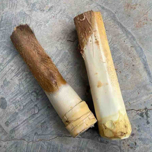 现砍新鲜甜棕树心棕树尖棕榈芯棕树头棕榈心棕榈树树心1个包邮