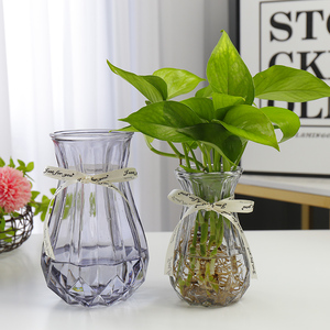 养花玻璃瓶水培绿萝