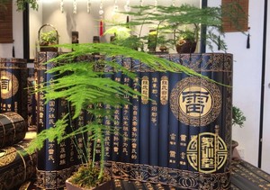 雷氏起源竹简书 家训堂徽字号竹雕 雷氏姓氏文化产品 个性化礼品