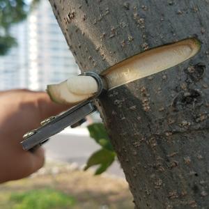 果树环剥刀环剪刀柑橘修枝枣树剥树皮工具环剥器环枝剪环割刀